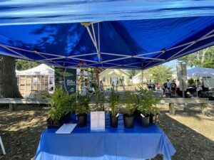 selling native plants