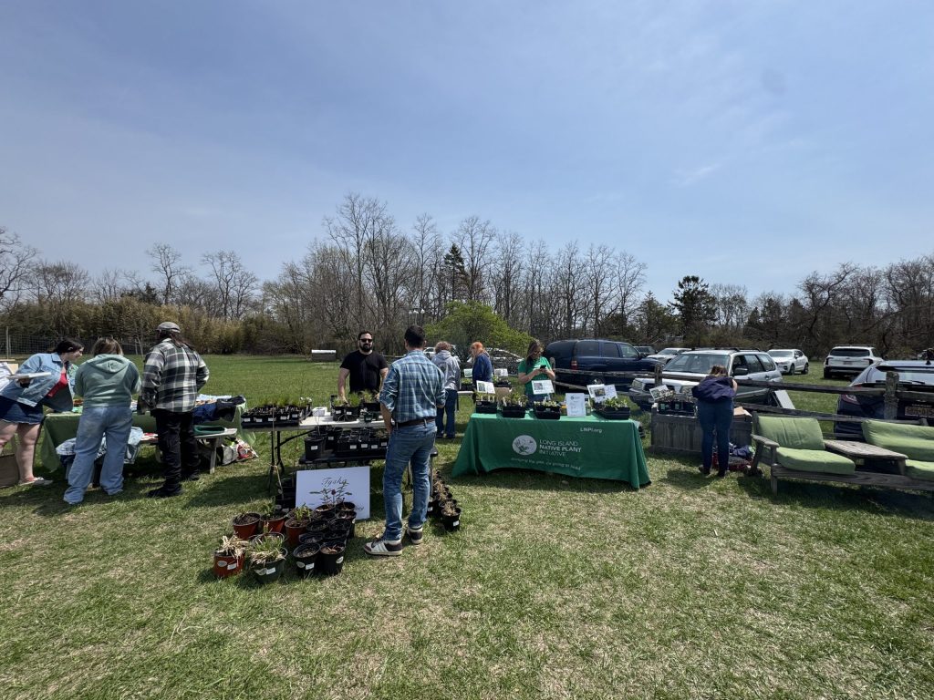 native plant sale
