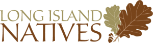 LINatives-Logo-color